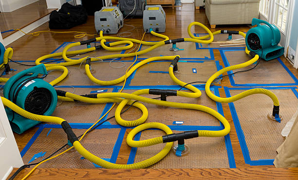 Professional Sewage Cleanup technician working in Victor, CA